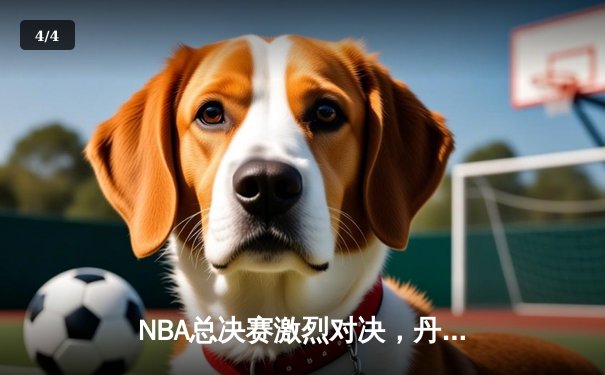 NBA总决赛激烈对决，丹佛掘金逆转波士顿凯尔特人夺得总冠军 - 4